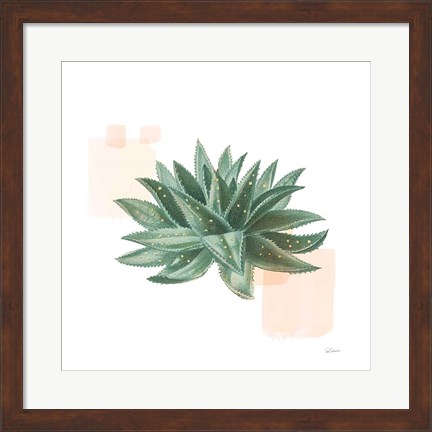 Framed Desert Color Succulent II Print