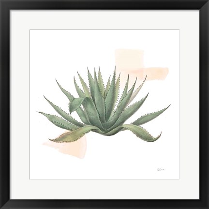 Framed Desert Color Succulent I Print