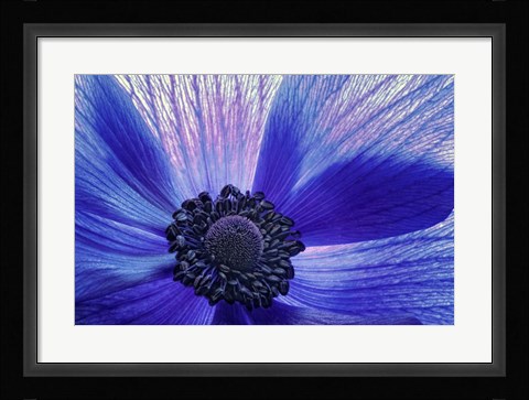 Framed Windsong Print