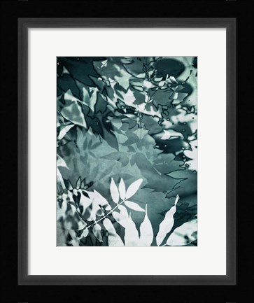 Framed Abstract Leaves Print