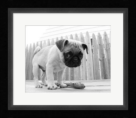 Framed Bentley Print