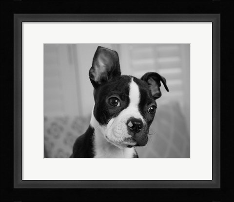 Framed Hugo the Thinker Print