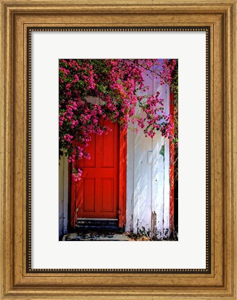 Framed Red Door Print