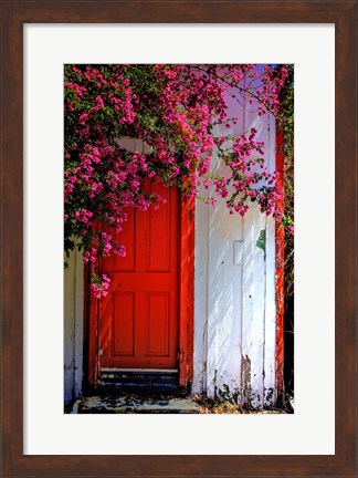 Framed Red Door Print