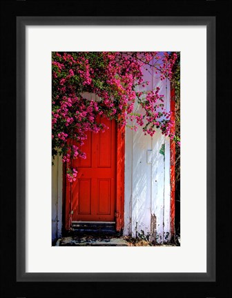 Framed Red Door Print