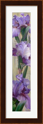 Framed Iris II Print