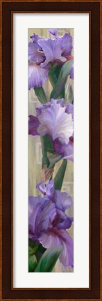 Framed Iris II Print