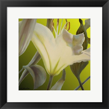 Framed Lily Green Print