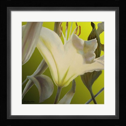 Framed Lily Green Print