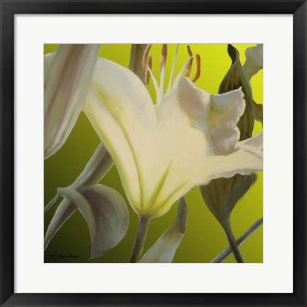 Framed Lily Green Print