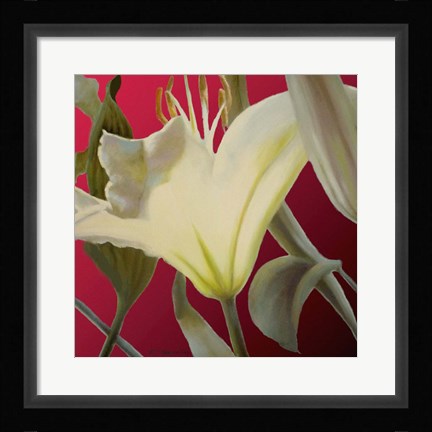 Framed Lily Red Print