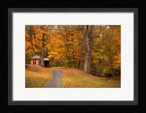 Framed Autumn Home Print