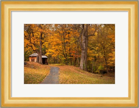 Framed Autumn Home Print