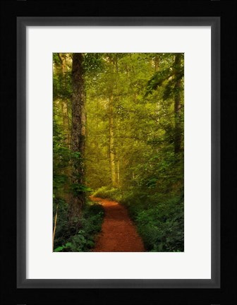 Framed Fairytale Path Print