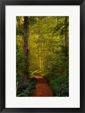 Framed Fairytale Path Print