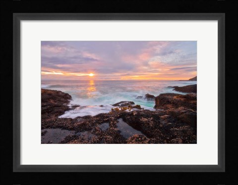 Framed Nature's Palette Print