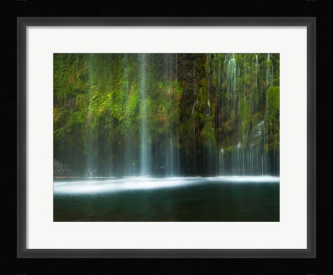 Framed Paradise Print