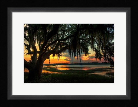 Framed Savannah Evening Print