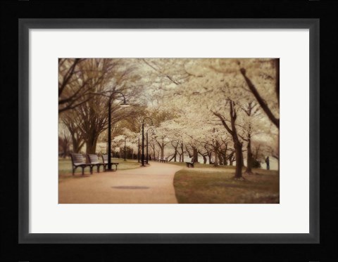 Framed Springtime Stroll Print