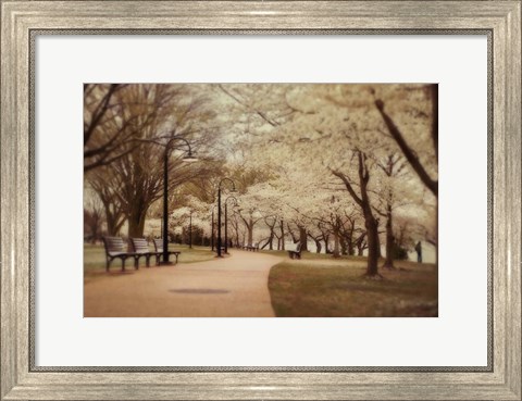 Framed Springtime Stroll Print