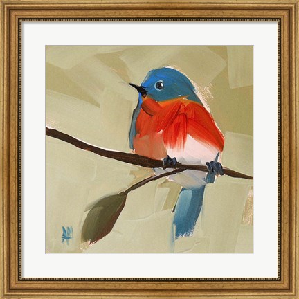 Framed Bluebird No. 21 Print