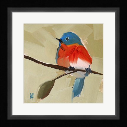 Framed Bluebird No. 21 Print