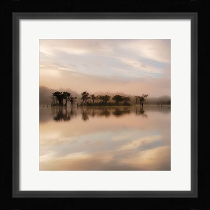 Framed Dawn Mist on the Amazon Print