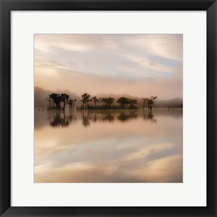 Framed Dawn Mist on the Amazon Print