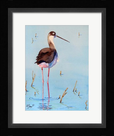 Framed Black Neck Stilt III Print