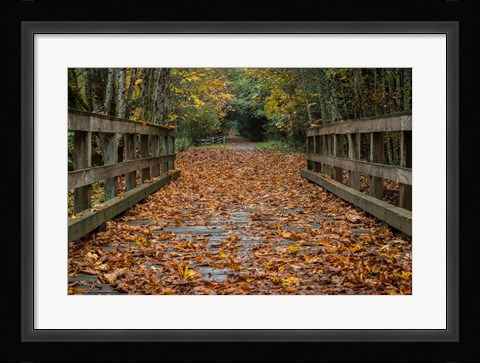 Framed Fall on the Goose (Victoria) Print