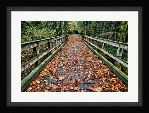 Framed Galloping Goose Print