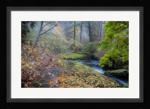Framed Snow in Fall Print