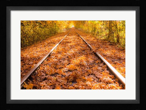 Framed Train Tracks in The Fall Print