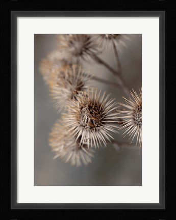 Framed Avantgarde Print