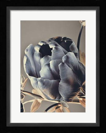 Framed Baroque 3 Print