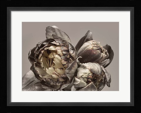Framed Baroque 4 Print