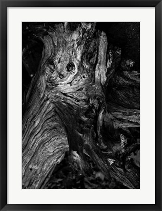 Framed Black Wood Print