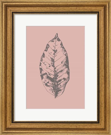 Framed Botanica 1 Print