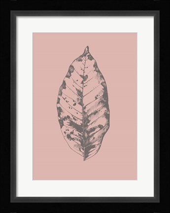 Framed Botanica 1 Print