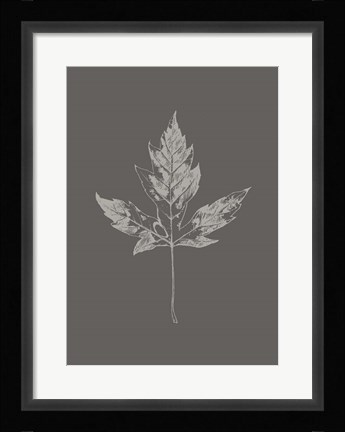 Framed Botanica 5 Print