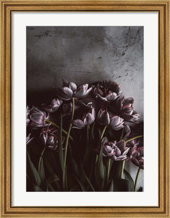 Framed Dark Tulips Print