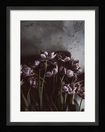 Framed Dark Tulips Print