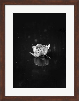 Framed Floating 2 Print