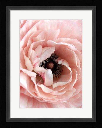 Framed Flower Print