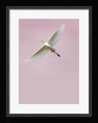 Framed In the Sky 2 Print