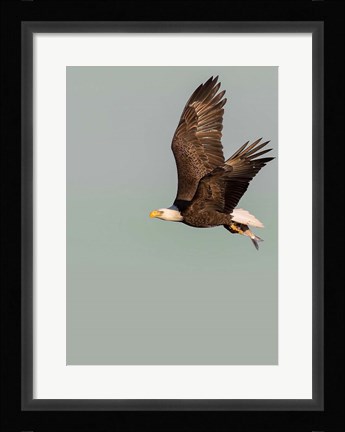Framed In the Sky 3 Print