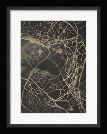 Framed Leaf Skeleton Dark Print