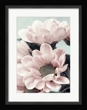 Framed Opulent 3 Print