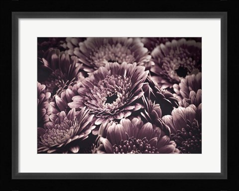 Framed Opulent 4 Print