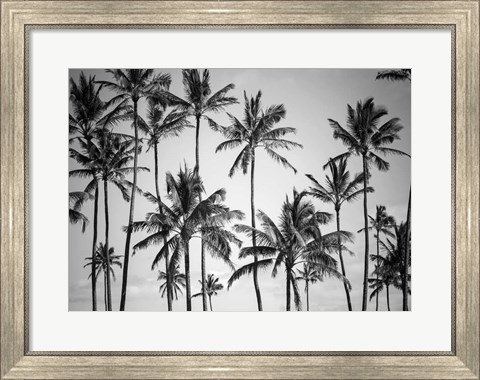 Framed Palm Heaven Print